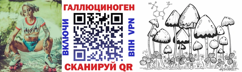 Купить где Судак Галлюциногенные грибы ЛСД