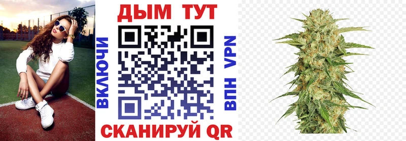 Конопля конопля  Купить закладки  Судак 